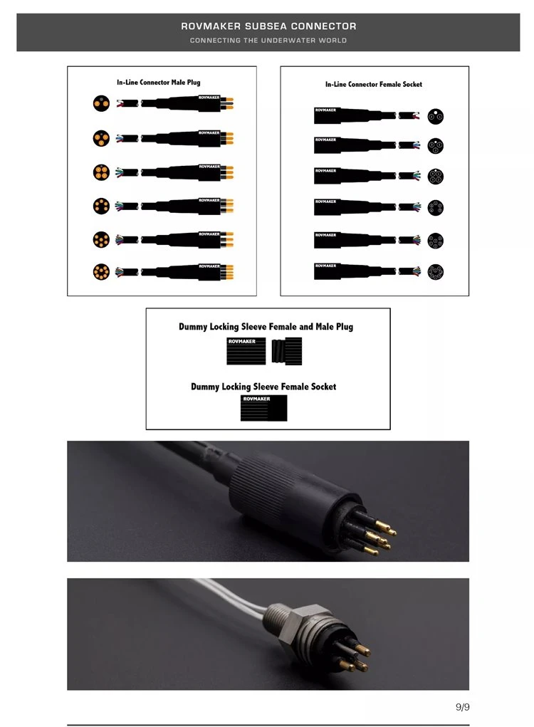 1 (1)